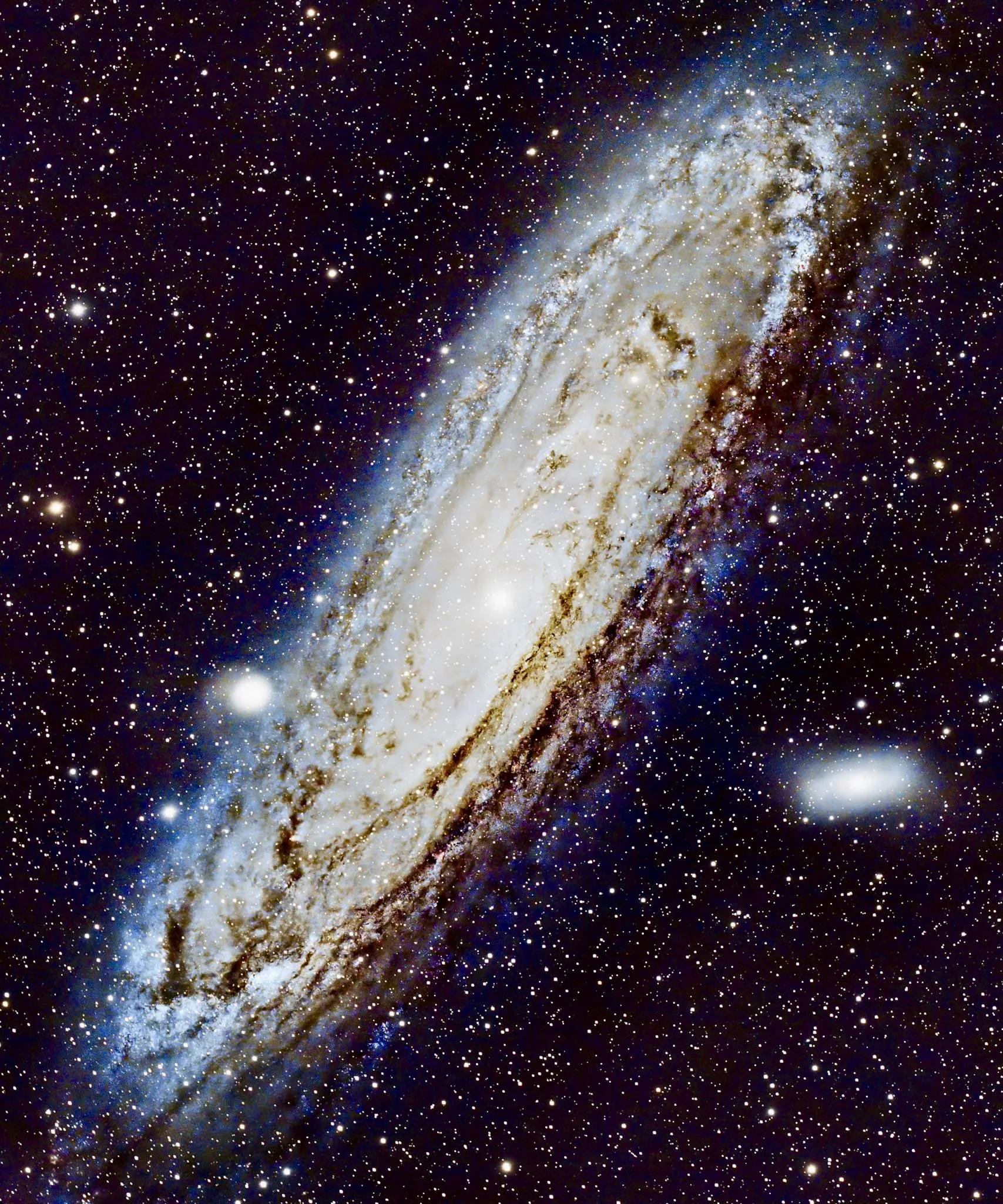 Andromeda Captured From My Backyard