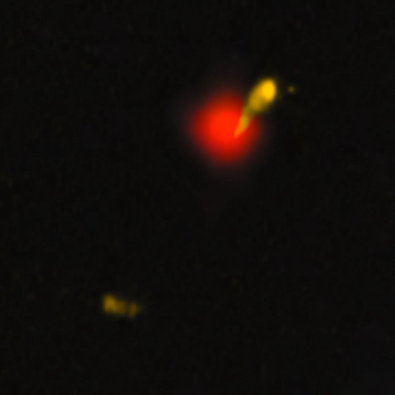 Unveiling the Cosmic Colossus: The Largest and Oldest Black Hole Jet Ever Observed