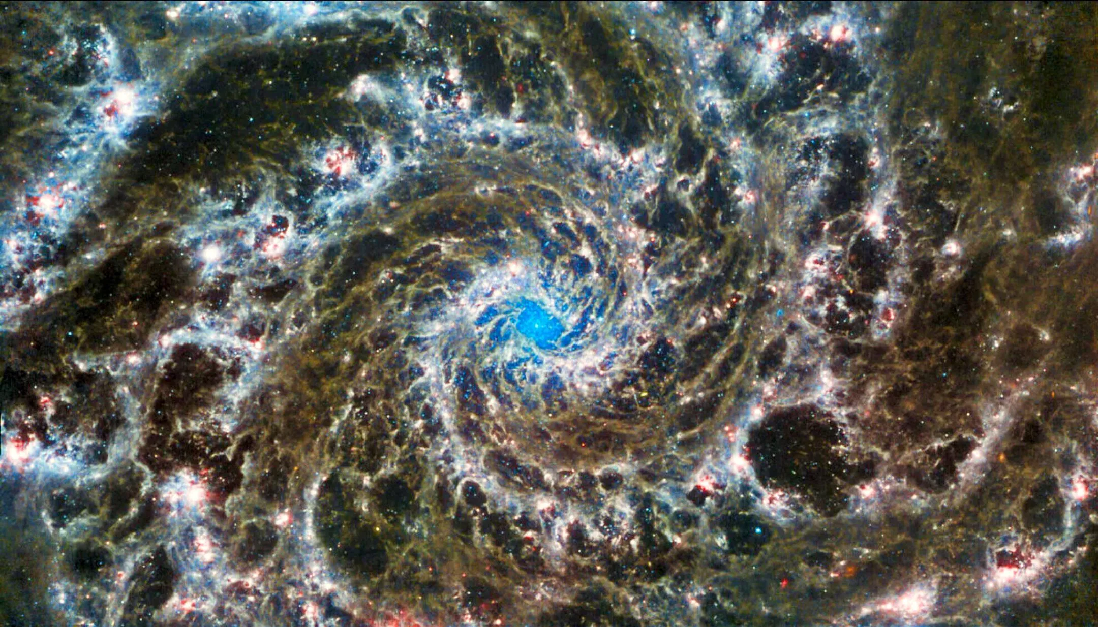 The Phantom Galaxy (M74): Webb's Infrared Unveiling