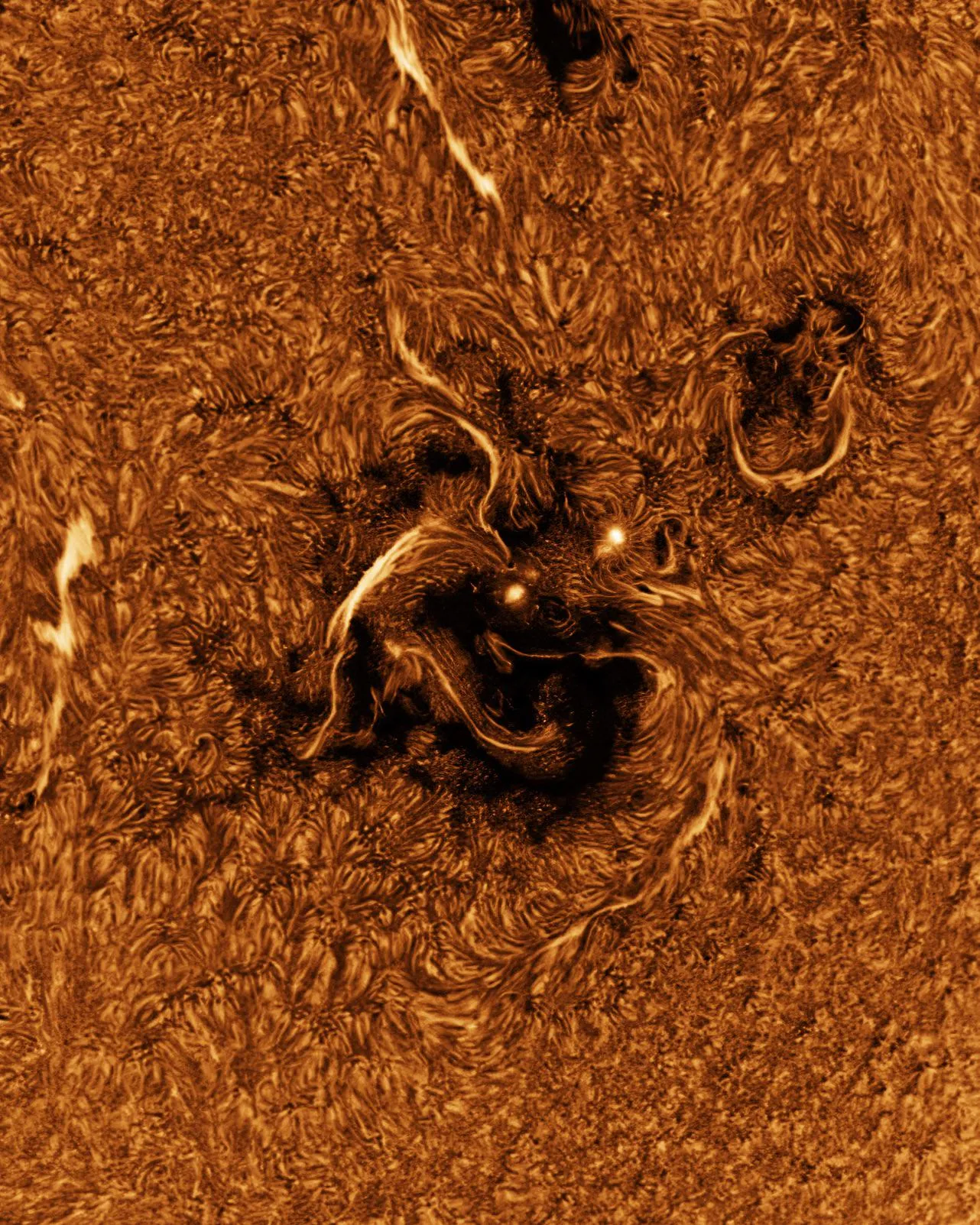 Sun Spot Region AR4100 Looks Like a Derpy Dragon